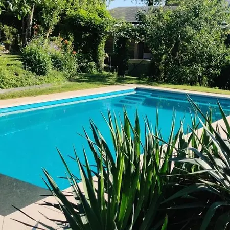 Directorsroom And Swimmingpool * Tilburg